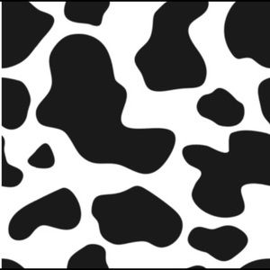 Meet your Posher, Ilyssia